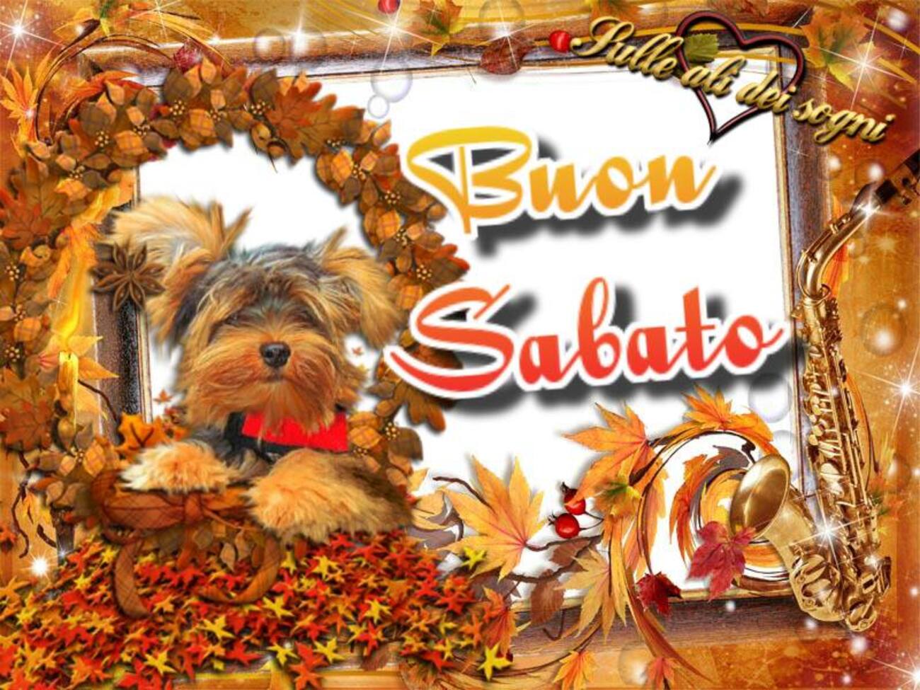 Buon Sabato