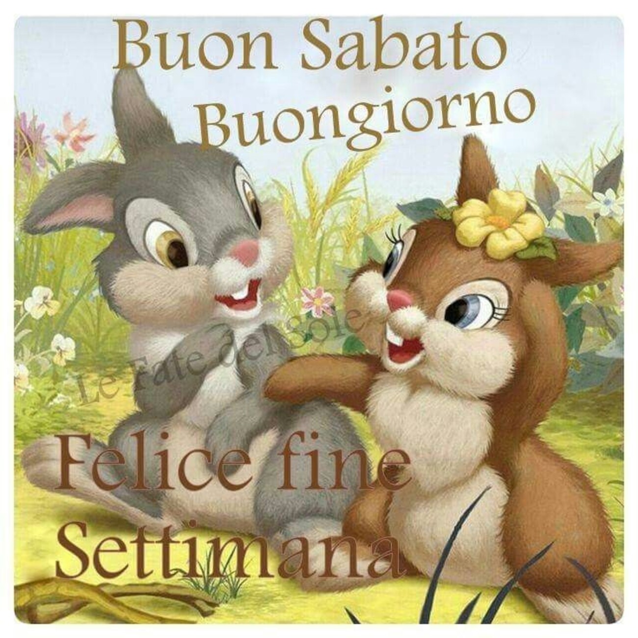 Buon Sabato buongiorno felice fine settimana
