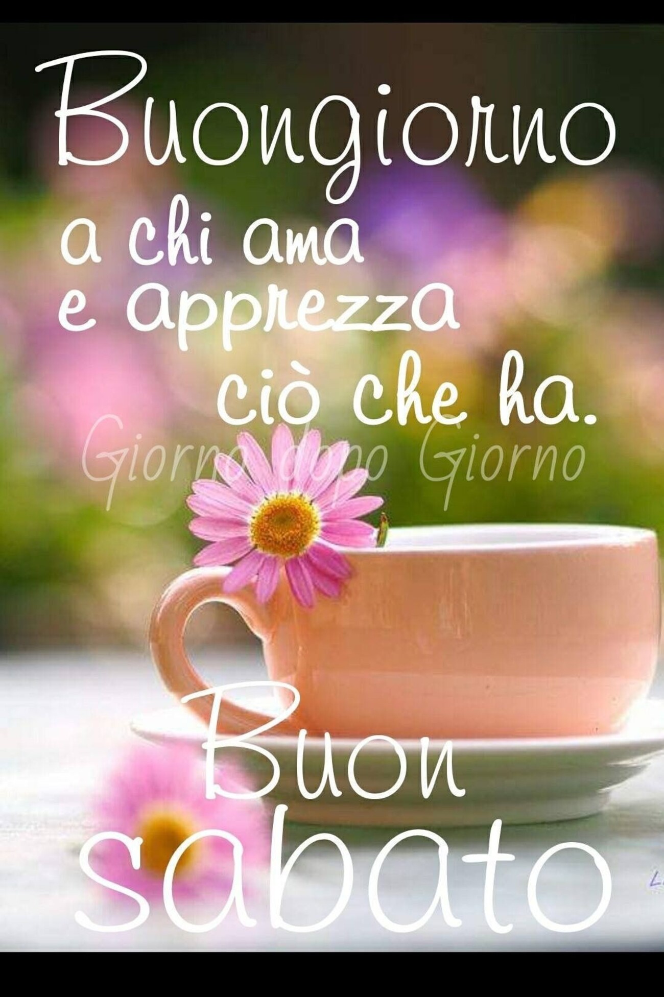 Buongiorno a chi ama e apprezza ciò che ha! Buon Sabato
