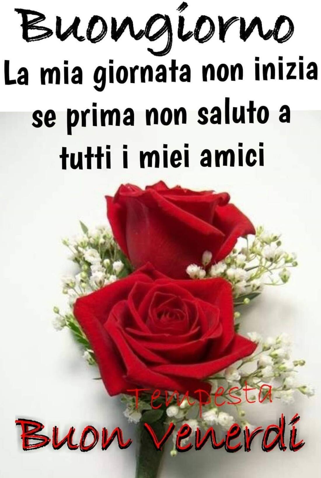 Buongiorno la mia giornata non inizia se prima non saluto tutti i miei amici! Buon Venerdì