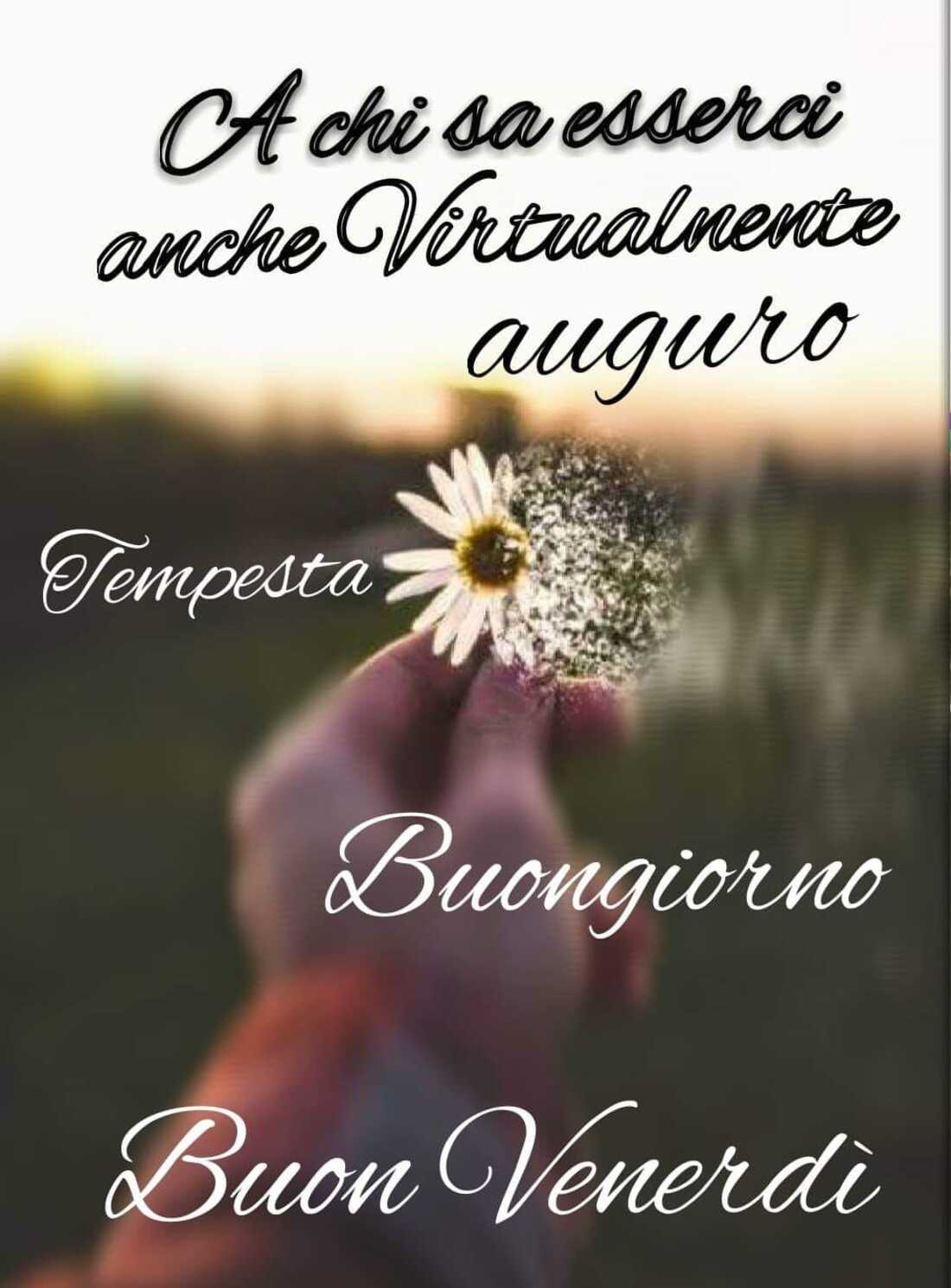 A chi sa esserci anche virtualmente auguro buongiorno e buon venerdì
