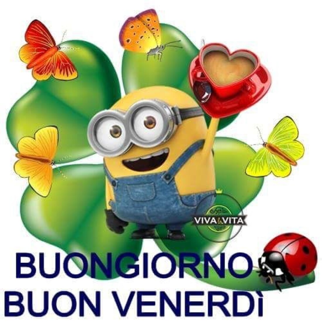 buongiorno e buon venerdì