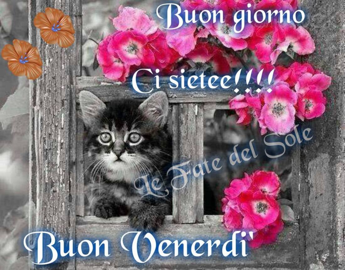 Buongiorno ci siete!!! Buon Venerdì