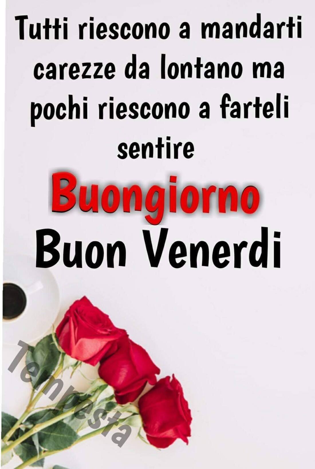 tutti riescono a mandarti carezze da lontano ma pochi riescono a farteli sentire! Buongiorno Buon Venerdì