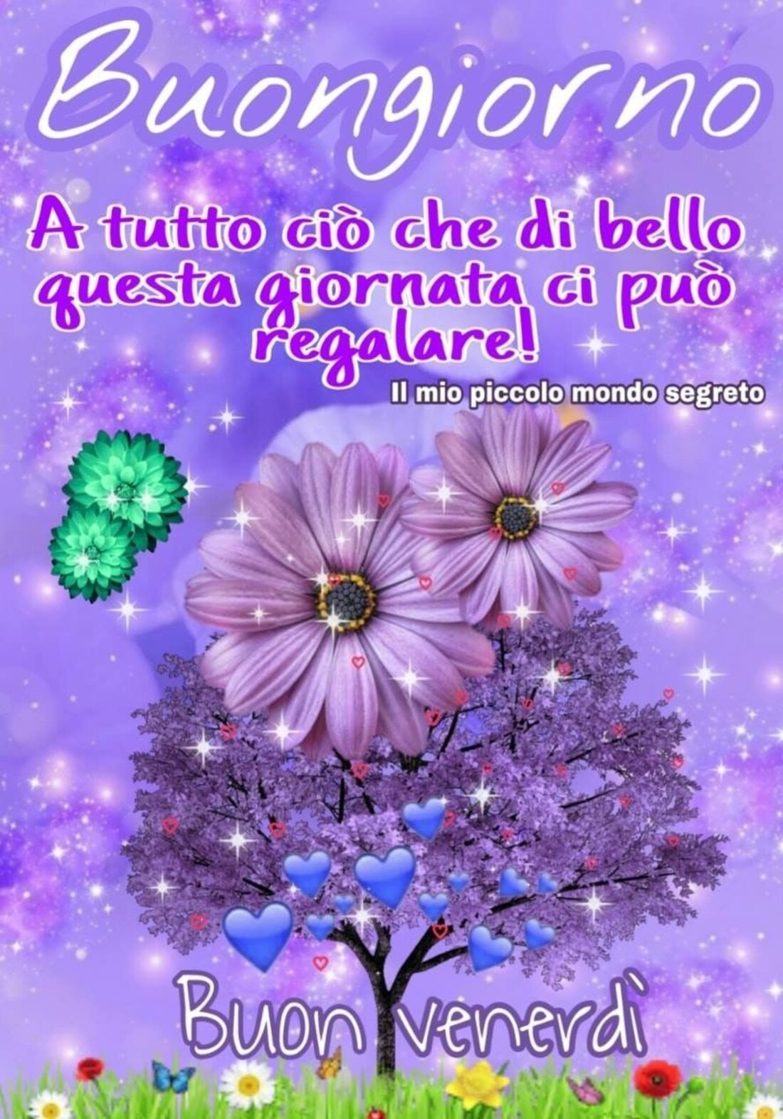 Buongiorno a tutto ciò che di bello questa giornata ci può regalare! Buon Venerdì