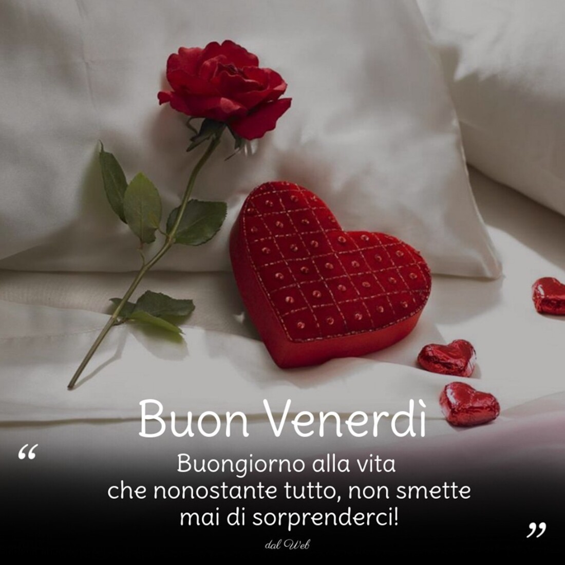 Buon Venerdì "Buongiorno alla vita che nonostante tutto, non smette mai di sorprenderci!"