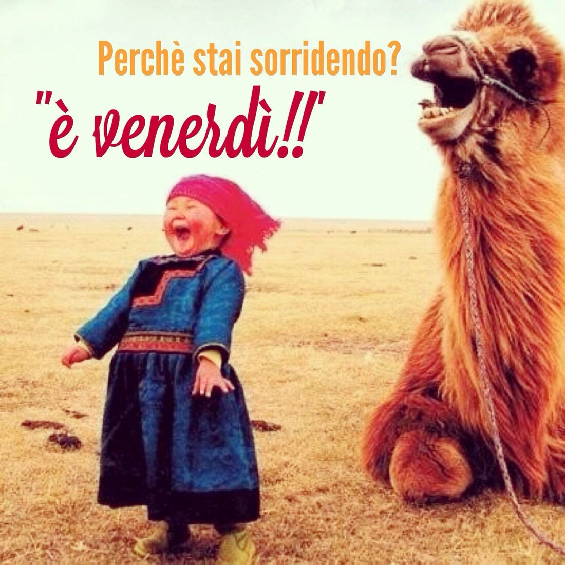 Perchè stai sorridendo? "è venerdì!!"