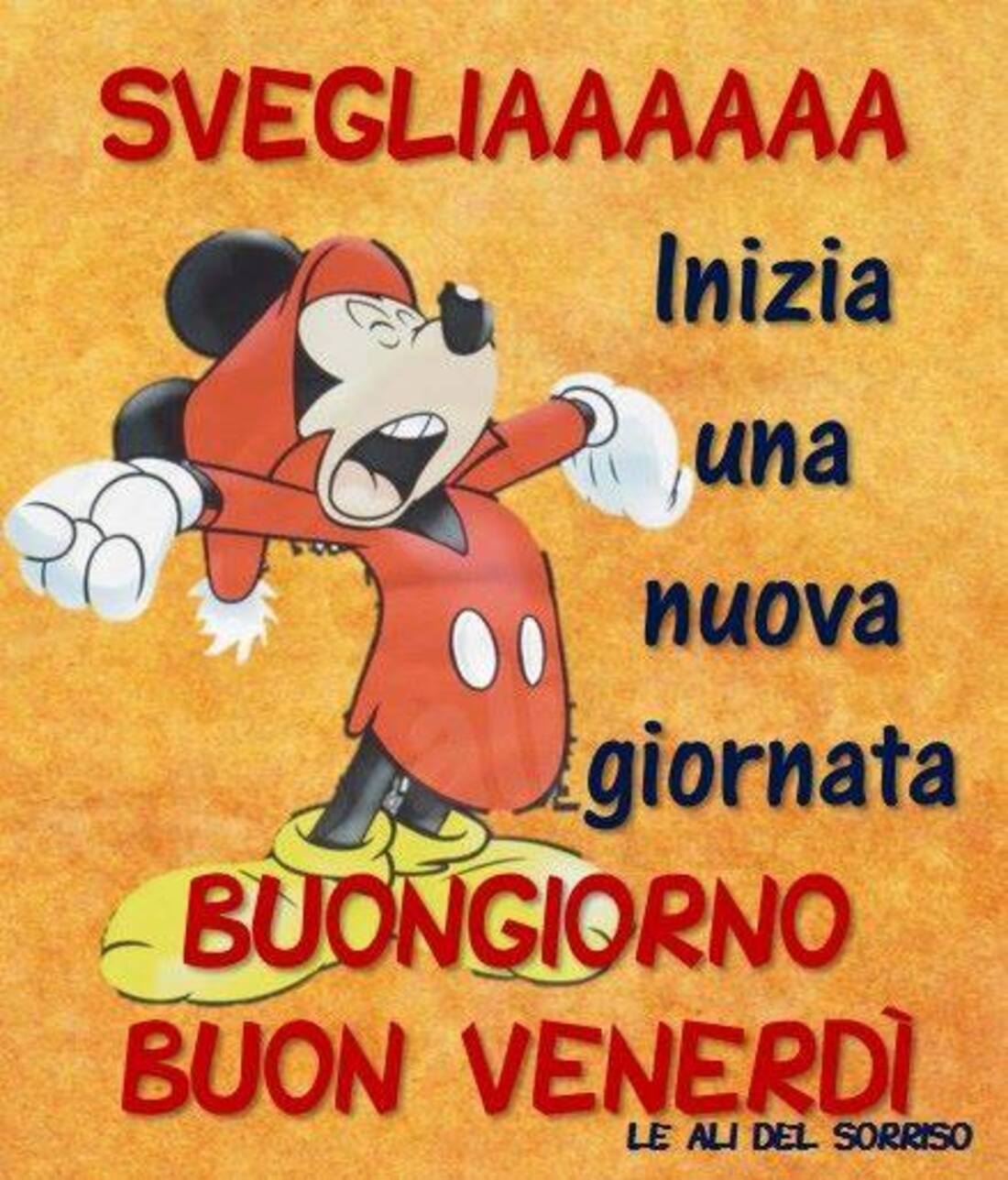 Svegliaaaa inizia una nuova giornata! Buongiorno Buon Venerdì