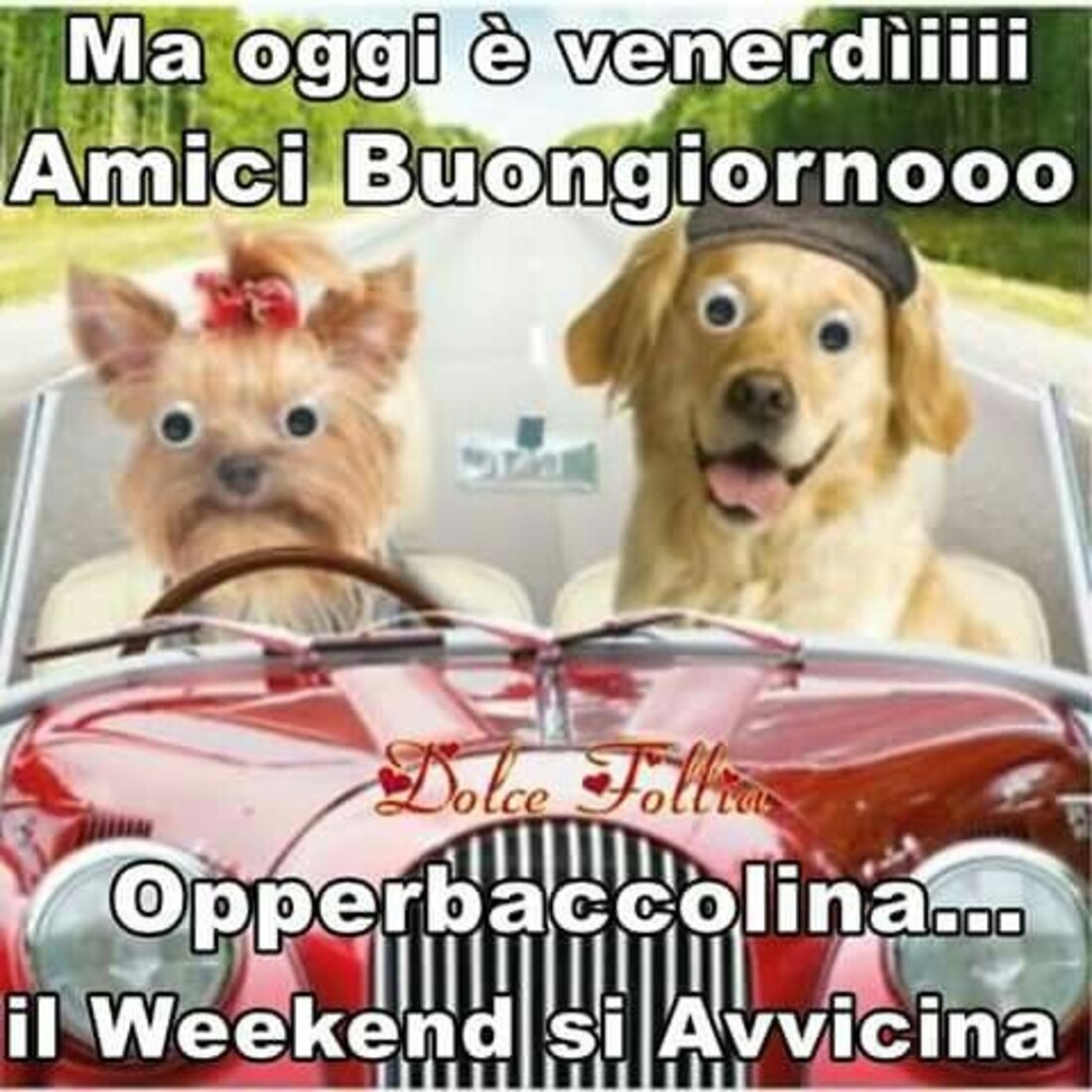 Ma oggi è venerdìììì amici Buongiornooooo opperbaccolina...Il Weekend si avvicina