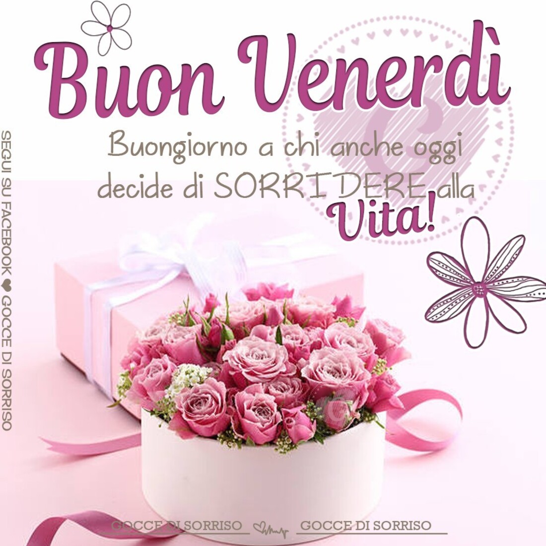 Buon Venerdì Buongiorno a chi anche oggi decide di SORRIDERE alla Vita