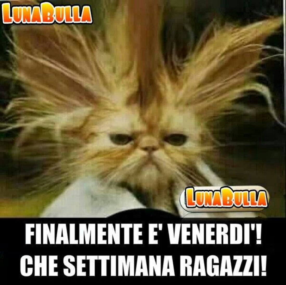 Finalemtne è venerdì! Che settimana ragazzi!