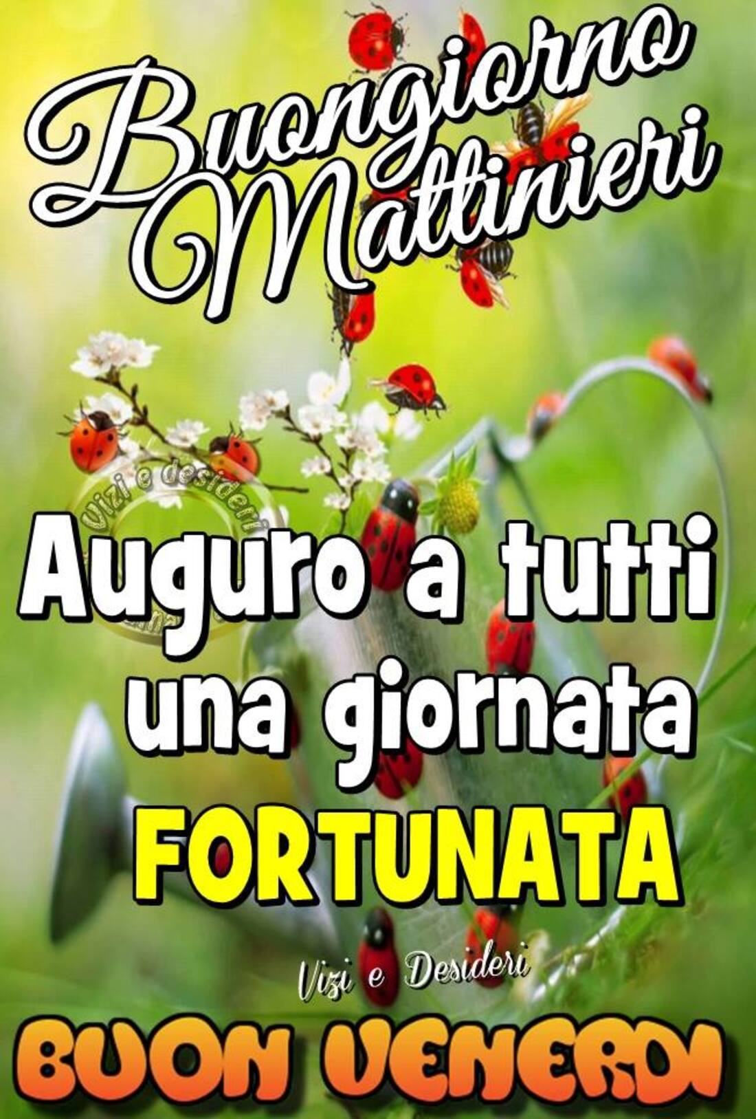 Buongiorno Mattinieri Auguri a tutti una giornata fortunata! Buon Venerdì
