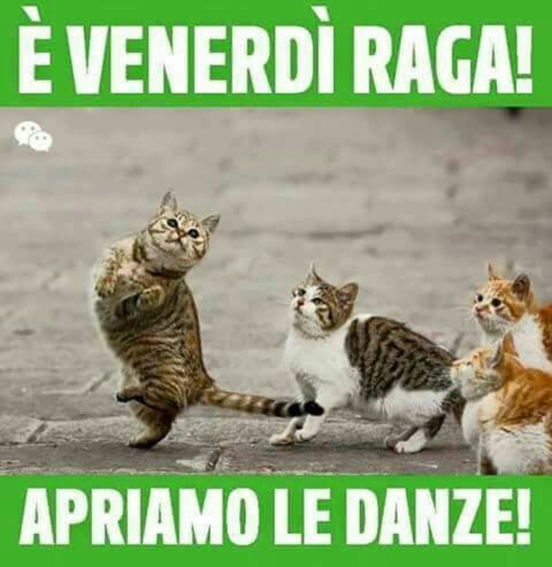 E' Venerdì raga....Apriamo le DANZE