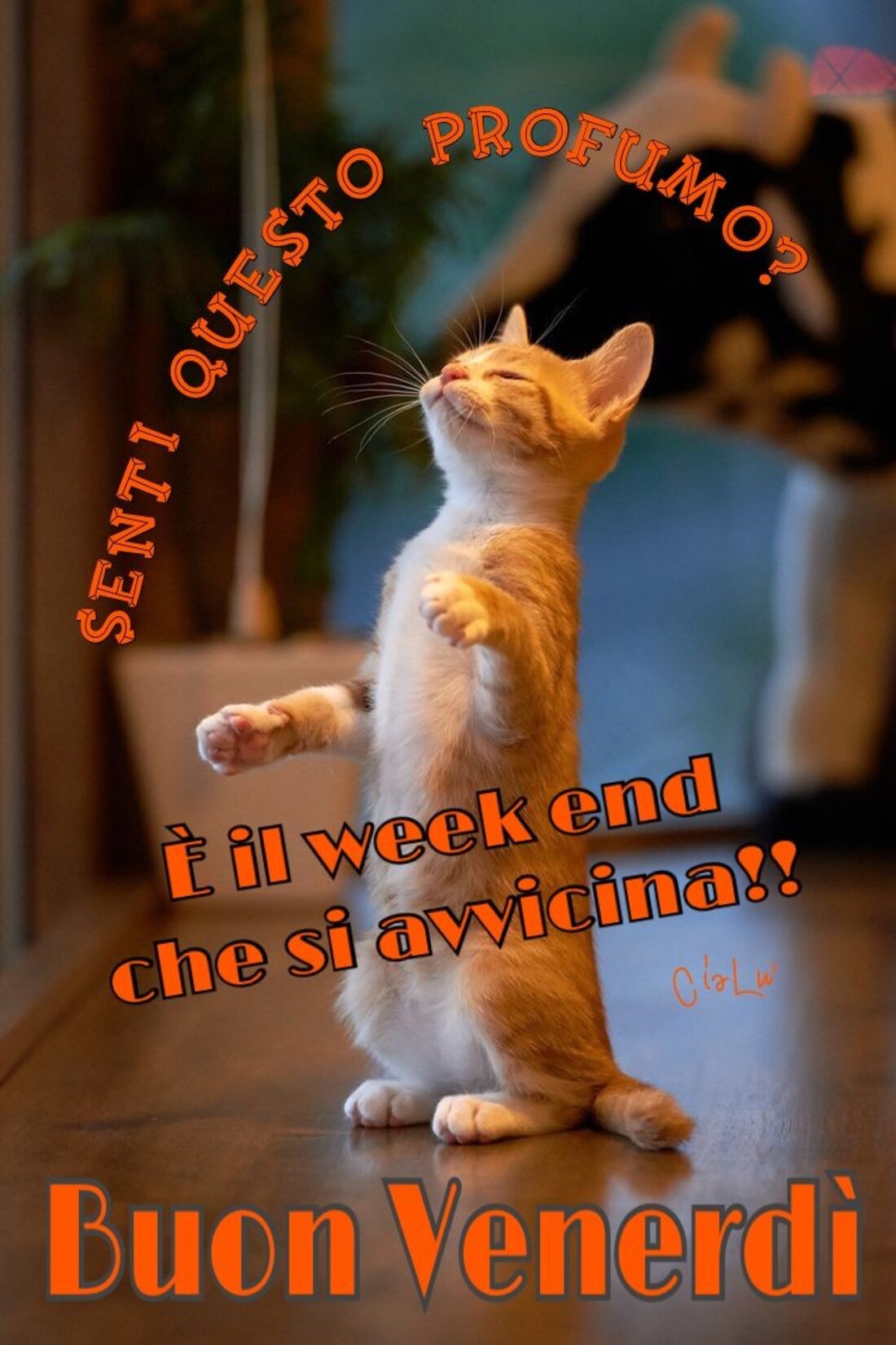 Senti questo profumo? è il weekend che si avvicina! Buon Venerdì