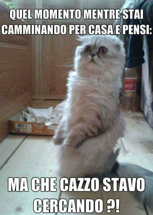 Quel momento  mentre stai camminando per casa e pensa: Ma che cavolo stavo cercando?!