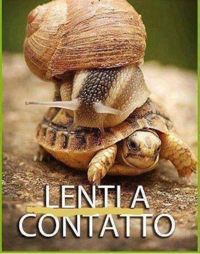 Lenti a contatto