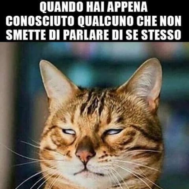 Quando hai appena conosciuto qualcuno che non smette di parlare di se stesso