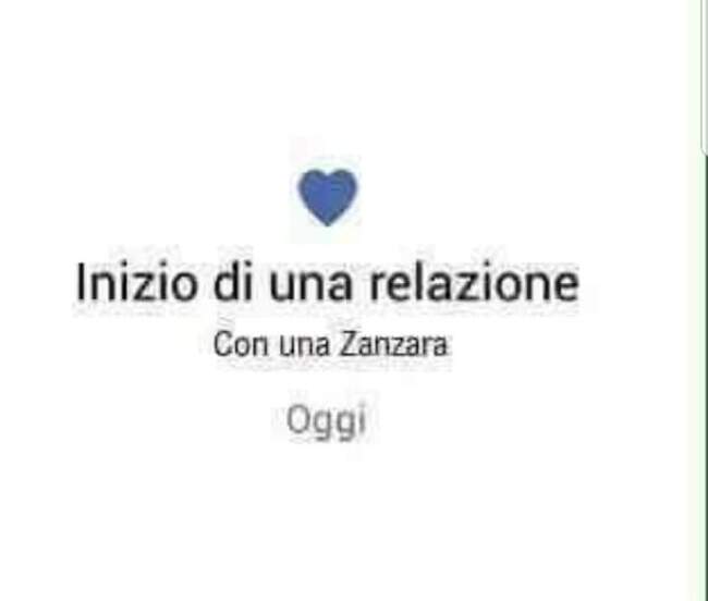 Inizio di una relazione con una zanzara oggi!