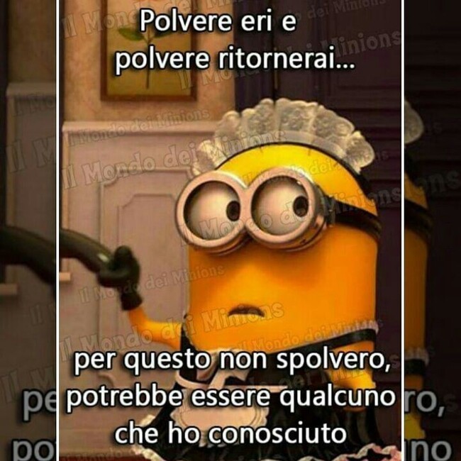 Polvere eri e polvere ritornerai...per questo non spolvero, potrebbe essere qualcuno che ho conosciuto