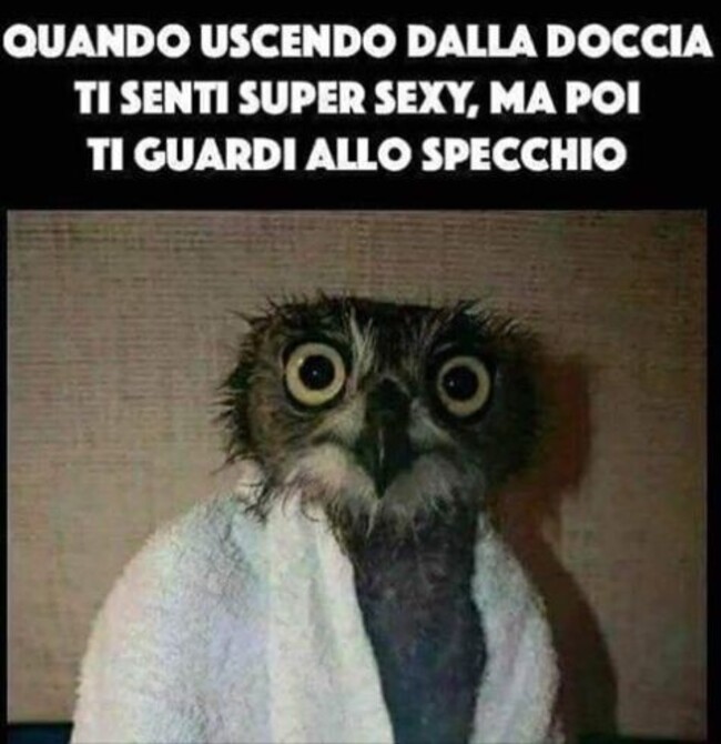 Quando uscendo dalla doccia ti senti super sexy, ma poi ti guardi allo specchio