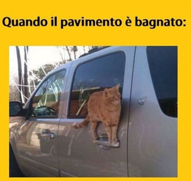 Quando il pavimento è bagnato: