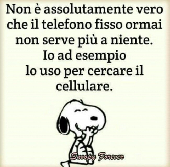 Non è assolutamente vero che il telefono fisso ormai non serve più a niente. Io ad esempio lo uso per cercare il cellulare.