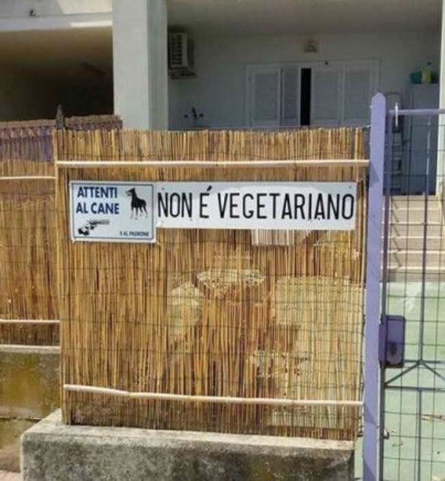 Attenti al cane! Non è vegetariano