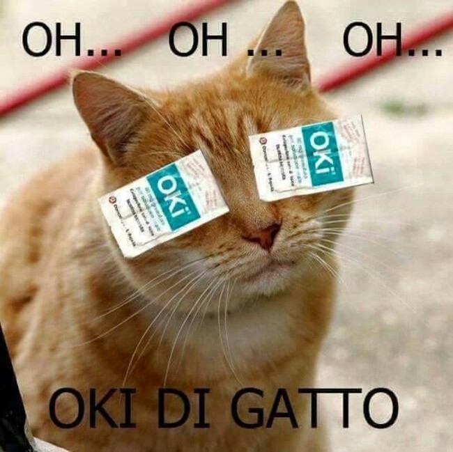 Oh...Oh...Oh...Oki di Gatto