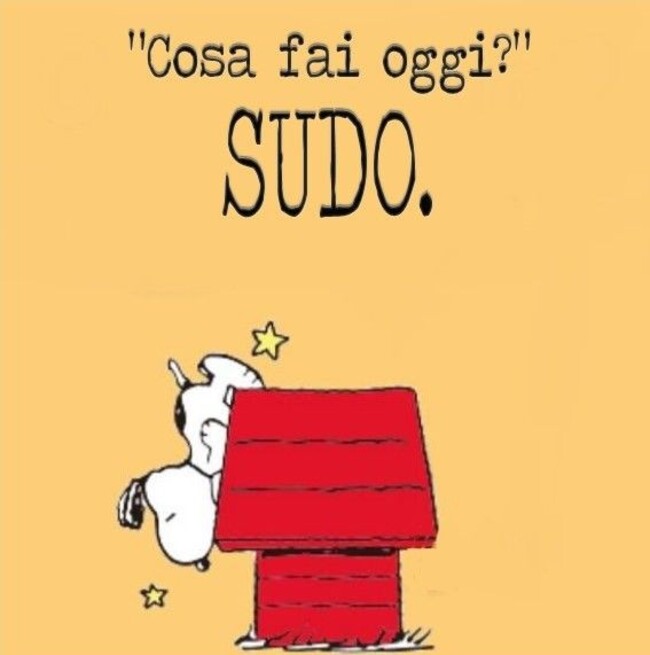 "Cosa fai oggi?" SUDO.