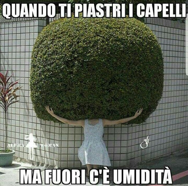 Quando ti piastri i capelli ma fuori c'è umidità