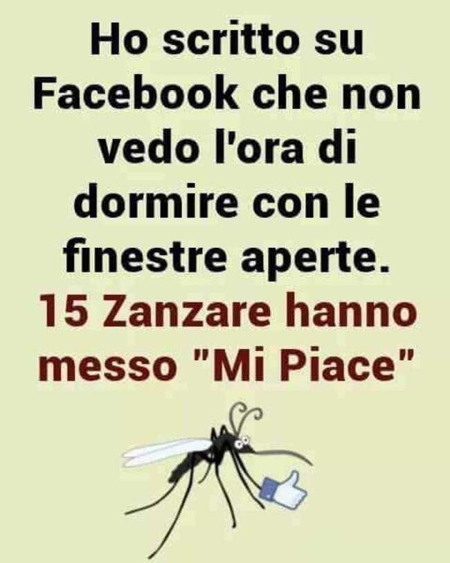 Ho scritto su facebook che non vedo l'ora di dormire con le finestre aperte. 15 zanzare hanno messo "Mi Piace"