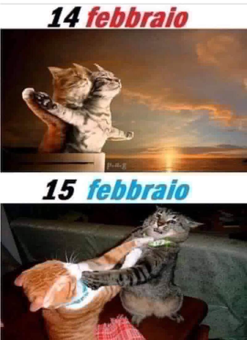 14 febbraio.....15 febbraio