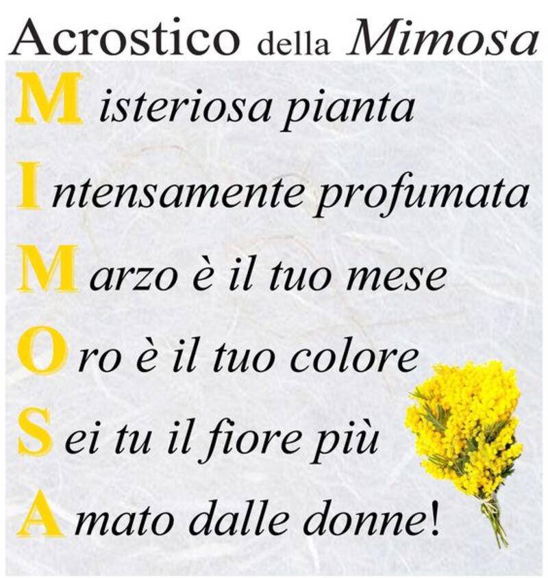 Acrostico della mimosa