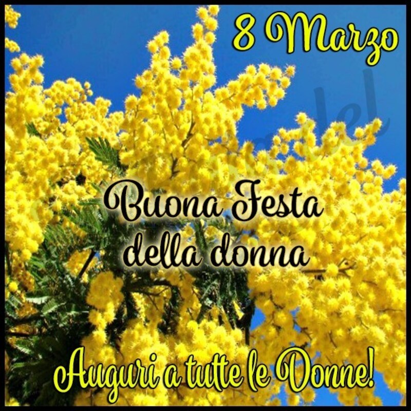 8 Marzo Buona festa della donna Auguri a tutte le donne