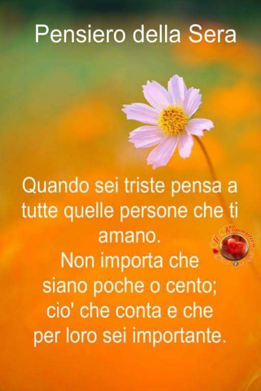 Frasi di Buona Serata