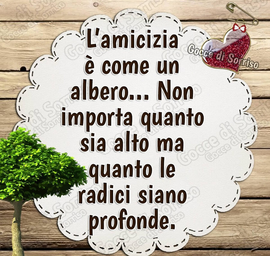 L'amicizia è come un albero...non importa quanto sia alto ma quanto le radici siano profonde