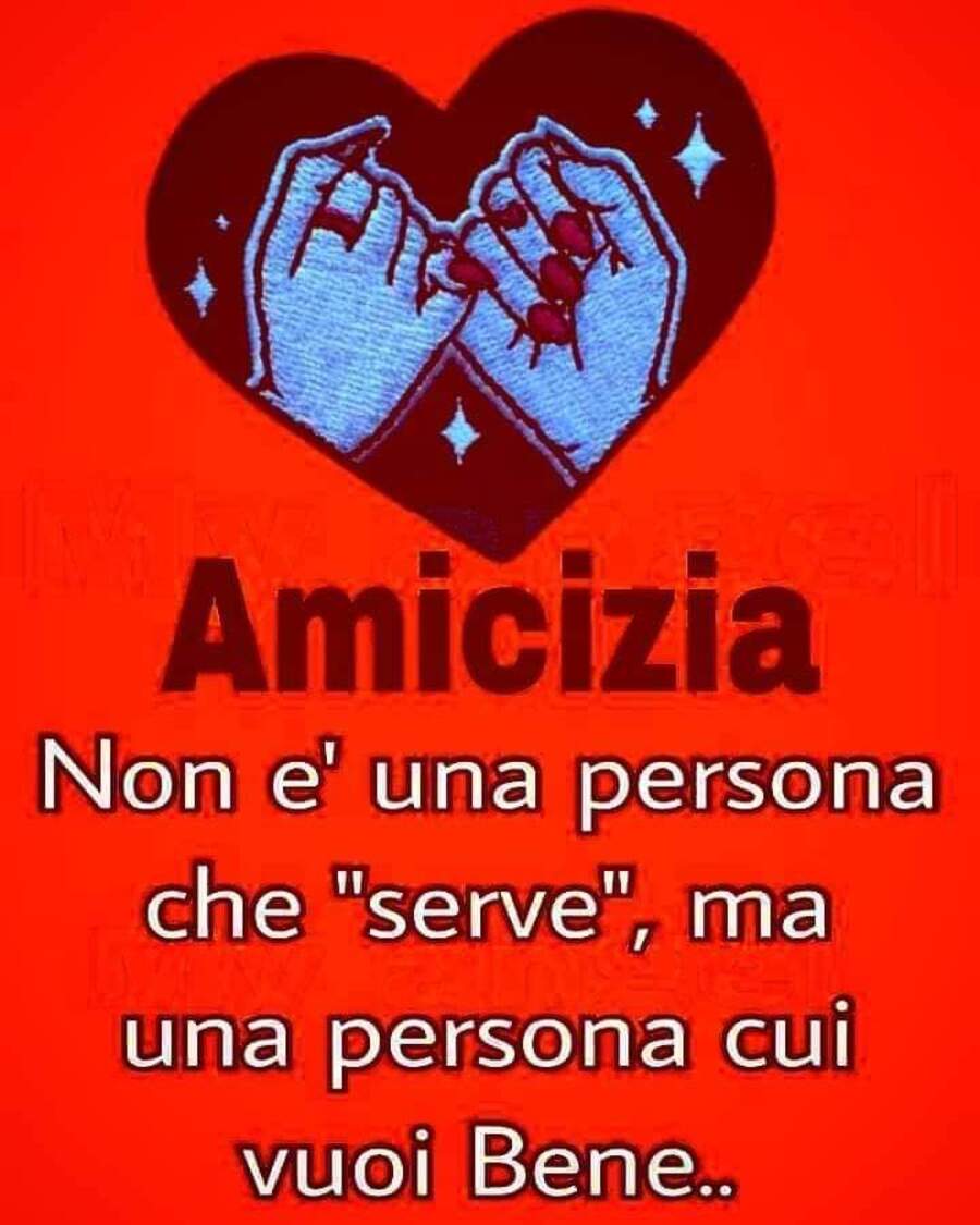 Amicizia non è una persona che "serve", ma una persona cui vuoi bene...