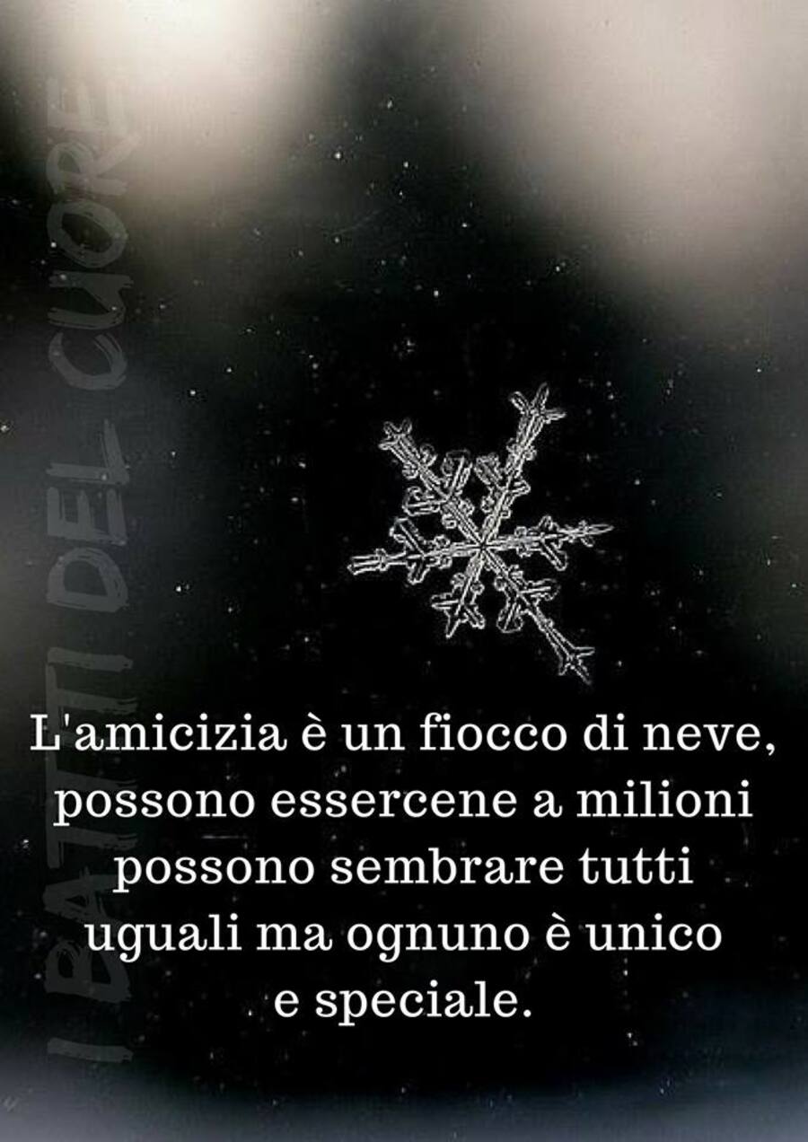 L'amicizia è un fiocco di neve, possono essercene a milioni, possono sembrare tutti uguali ma ognuno è unico e speciale