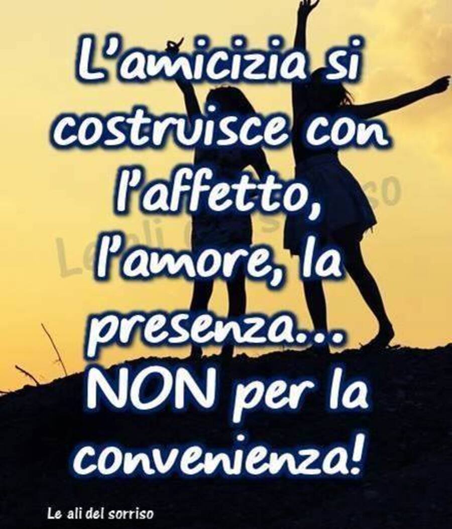 L'amicizia si costruisce con l'affetto, l'amore, la presenza...non per la convenienza