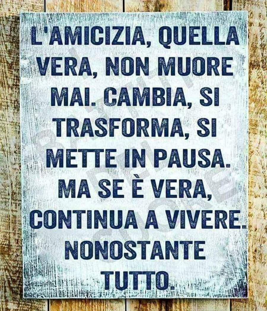 L'amicizia, quella vera, non muore mai. Cambia, si trasforma, si mette in pausa, ma se è vera continua a vivere nonostante tutto