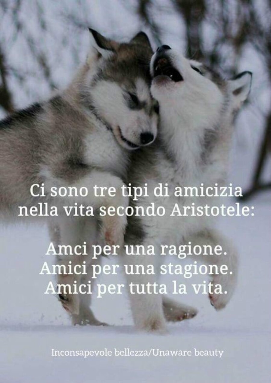 Ci sono tre tipi di amicizia nella vita secondo Aristotele: Amici per una ragione, amici per una stagione, amici per tutta la vita