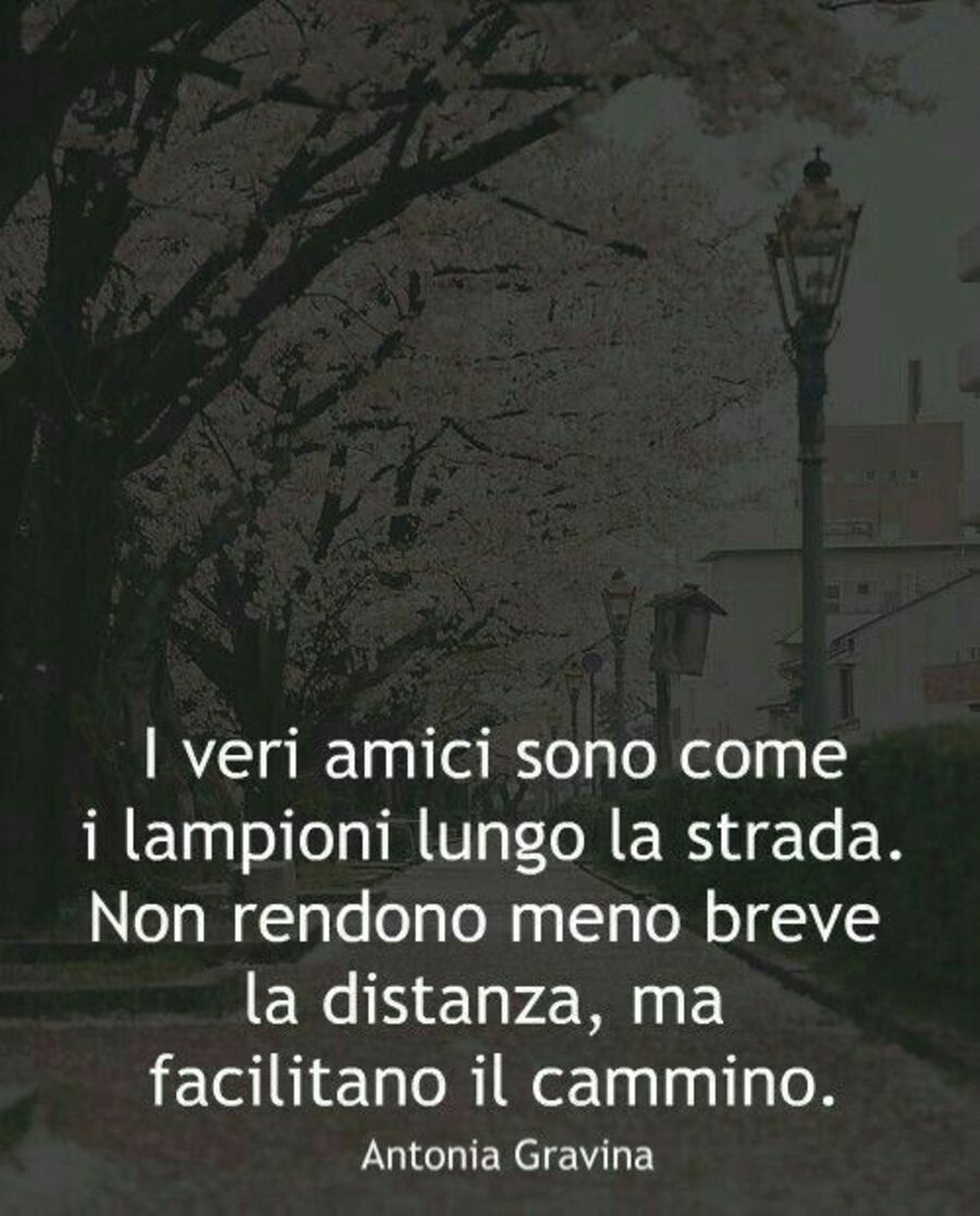 I veri amici sono come i lampioni lungo la strada. Non rendono meno breve la distanza, ma facilitano il cammino