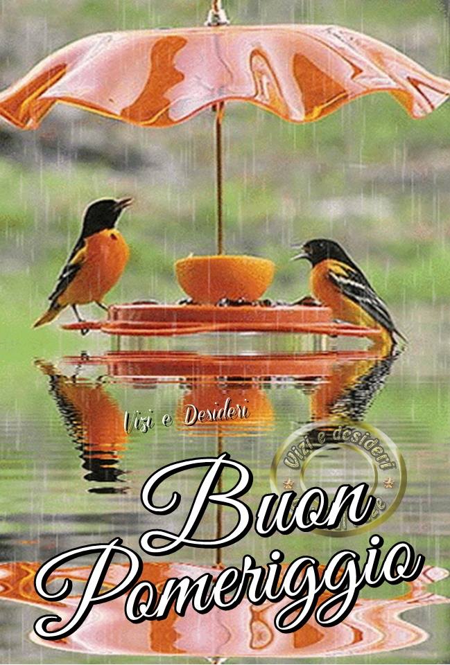 Buon pomeriggio