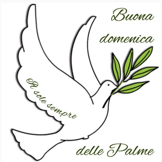 Buona Domenica delle Palme