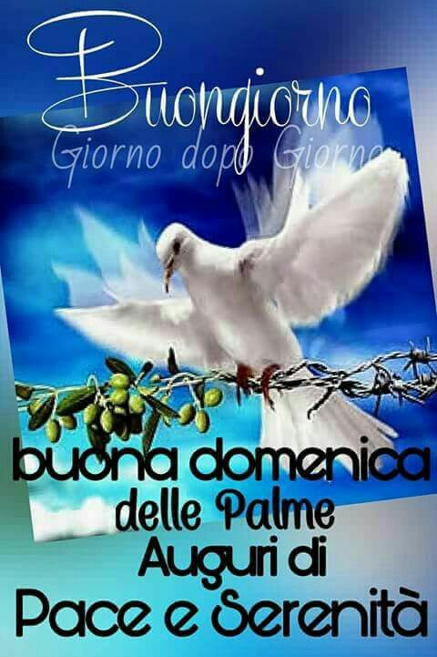 Buongiorno Buona Domenica delle Palme Auguri di pace e serenità