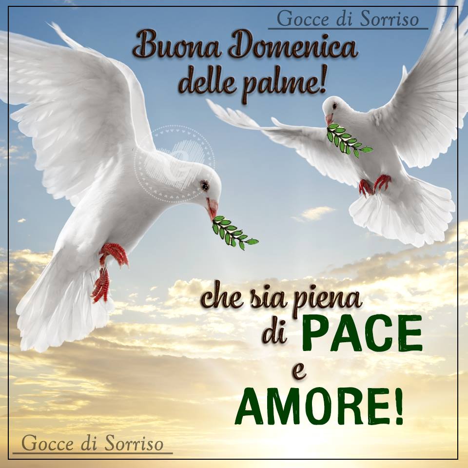 Buona Domenica che sia piena di Pace e Amore!