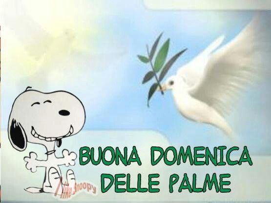 Buona Domenica delle Palme