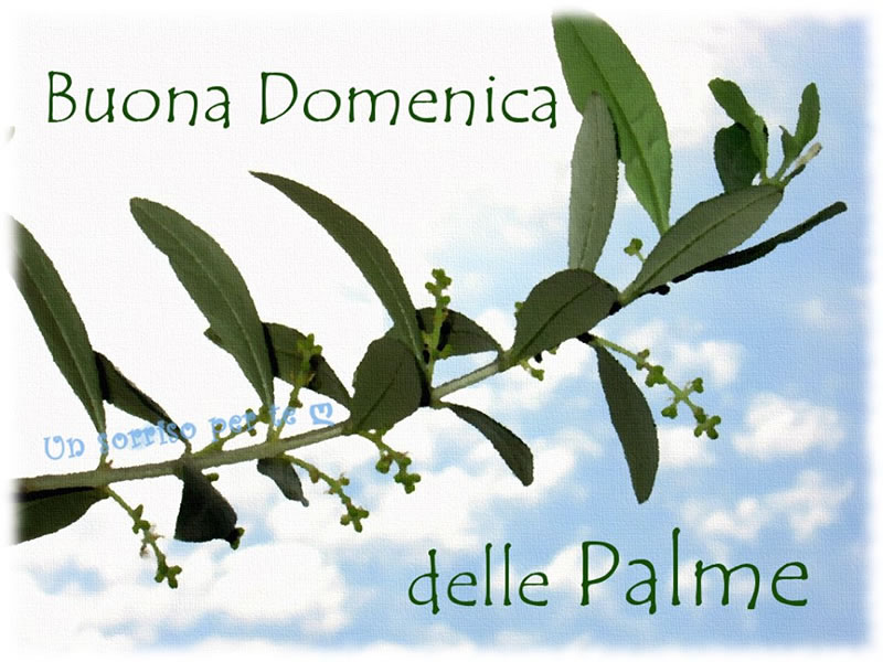 Buona Domenica delle Palme