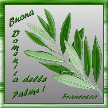 Buona Domenica delle Palme
