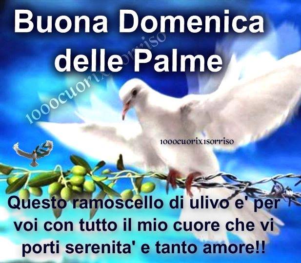Buona Domenica questo ramoscello di ulivo è per voi con tutto il mio cuore che vi porti serenità e tanto amore!!